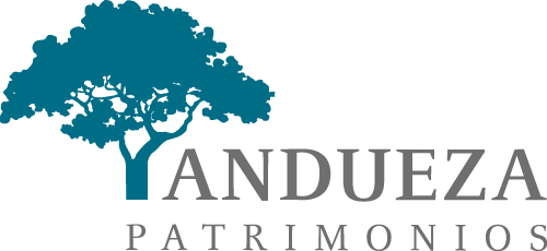 Logo Anduesa Patrimonios