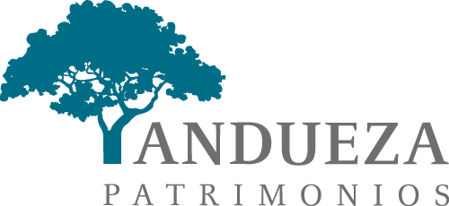 Logo Andueza Patrimonios